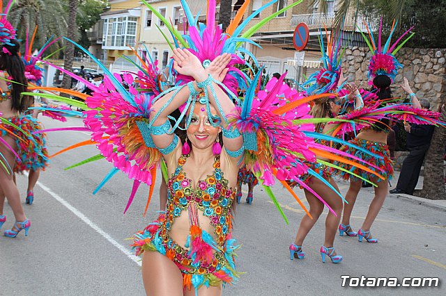 Desfile de Carnaval Totana 2017 - 449