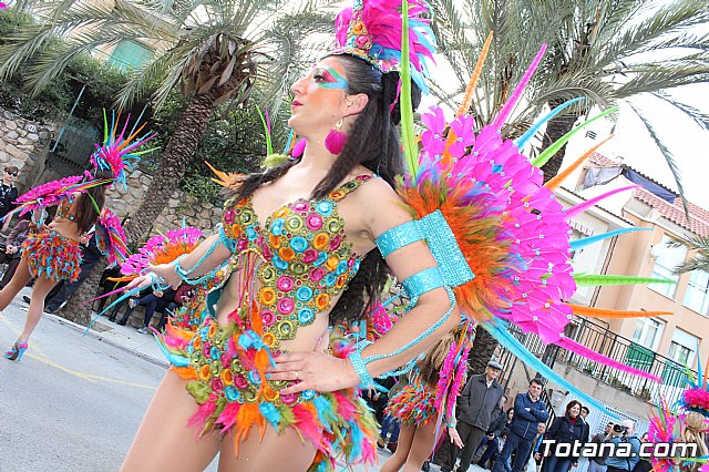 Desfile de Carnaval Totana 2017 - 453