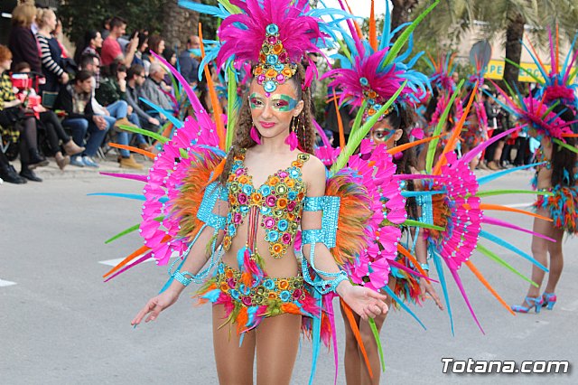 Desfile de Carnaval Totana 2017 - 459