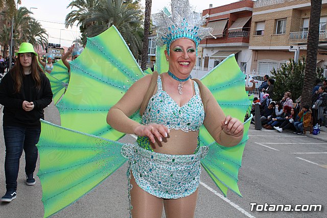 Desfile de Carnaval Totana 2017 - 487