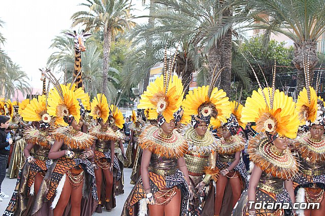 Desfile de Carnaval Totana 2017 - 507