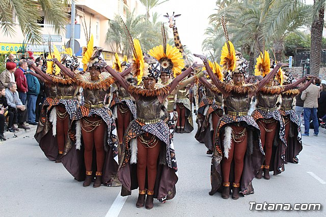 Desfile de Carnaval Totana 2017 - 509