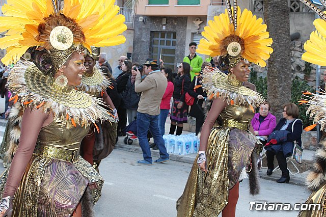 Desfile de Carnaval Totana 2017 - 580