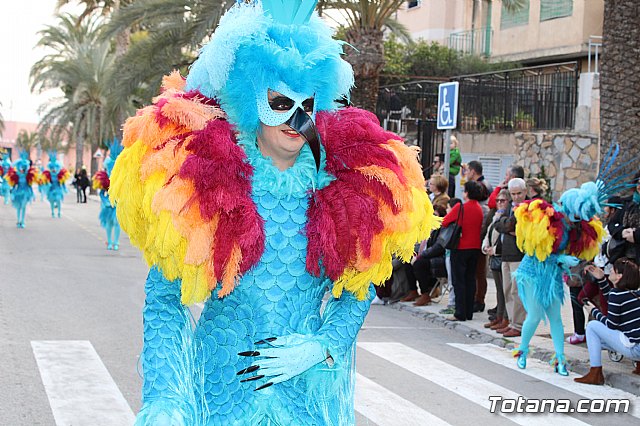 Desfile de Carnaval Totana 2017 - 667