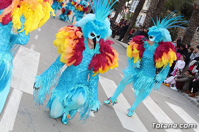 Desfile de Carnaval Totana 2017 - 671