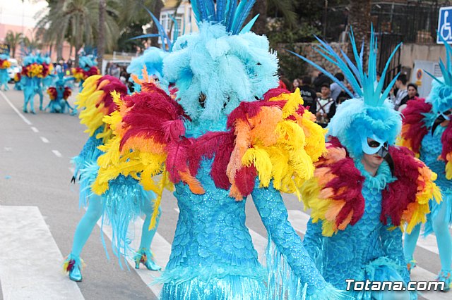 Desfile de Carnaval Totana 2017 - 672