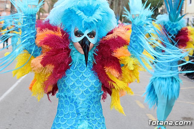 Desfile de Carnaval Totana 2017 - 679