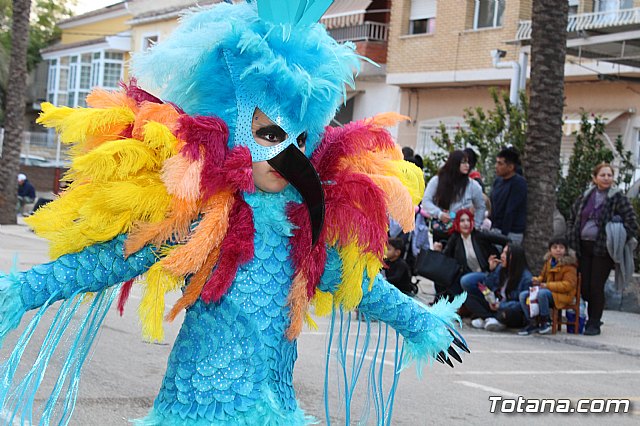 Desfile de Carnaval Totana 2017 - 694