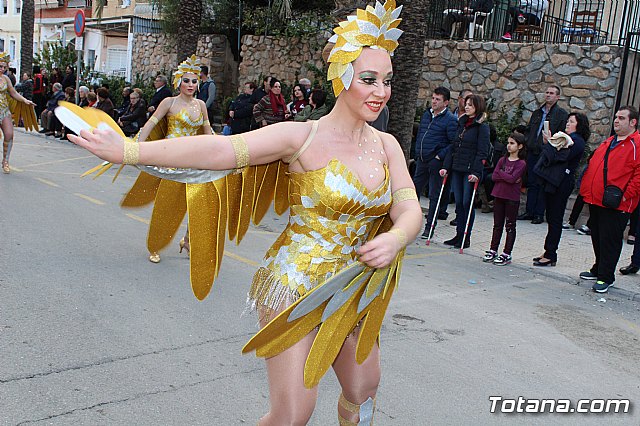 Desfile de Carnaval Totana 2017 - 710
