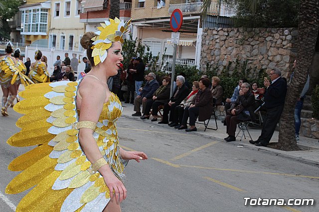 Desfile de Carnaval Totana 2017 - 719
