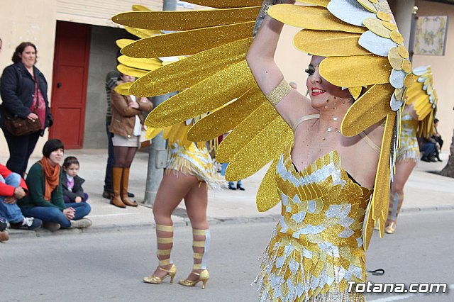 Desfile de Carnaval Totana 2017 - 727