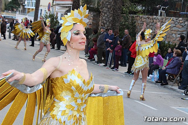 Desfile de Carnaval Totana 2017 - 737