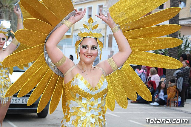 Desfile de Carnaval Totana 2017 - 742