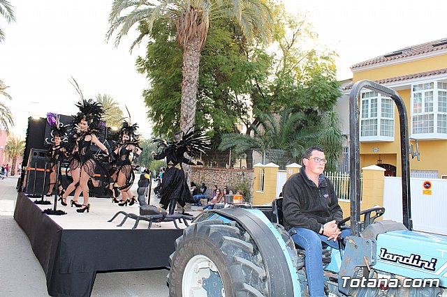 Desfile de Carnaval Totana 2017 - 791