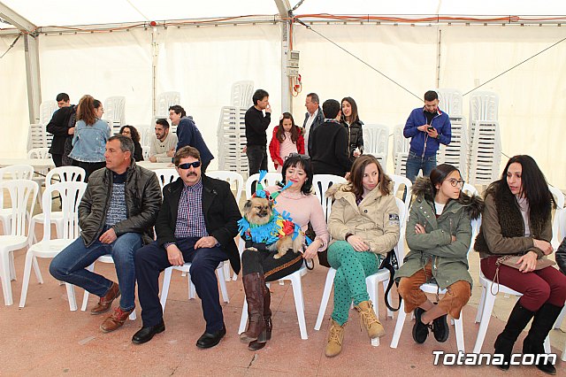 Concurso de disfraces de mascotas Carnaval de Totana - 1