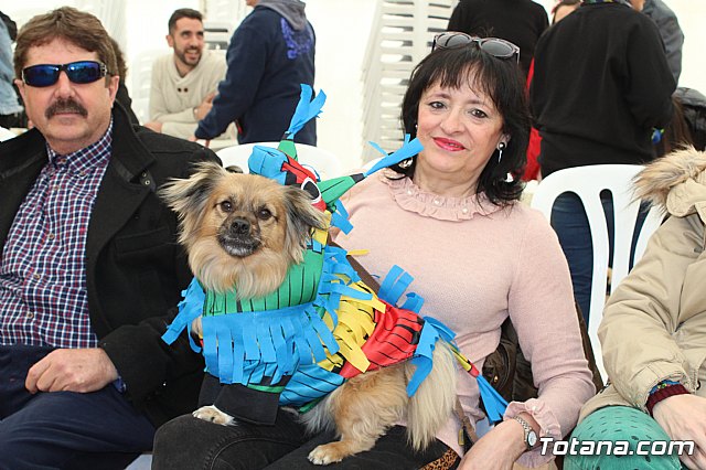Concurso de disfraces de mascotas Carnaval de Totana - 2