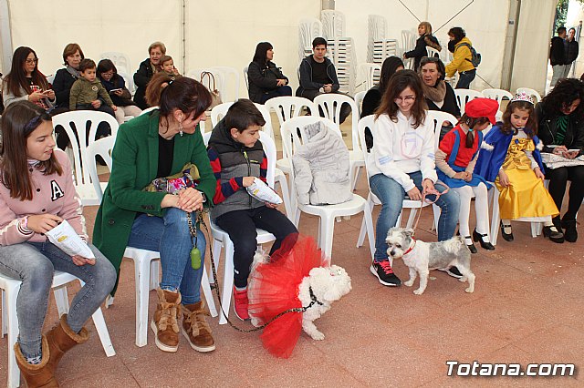 Concurso de disfraces de mascotas Carnaval de Totana - 3