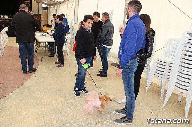 Concurso de disfraces de mascotas Carnaval de Totana - 6