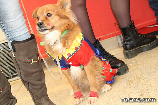 Concurso de disfraces de mascotas Carnaval de Totana - 10