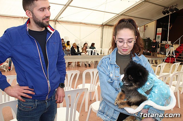 Concurso de disfraces de mascotas Carnaval de Totana - 11