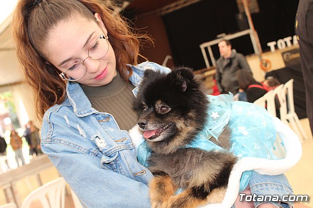 Concurso de disfraces de mascotas Carnaval de Totana - 12