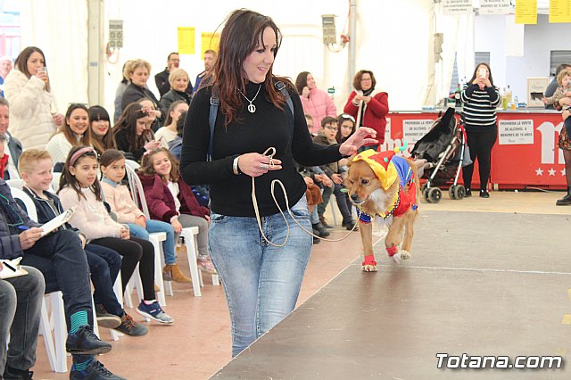 Concurso de disfraces de mascotas Carnaval de Totana - 20