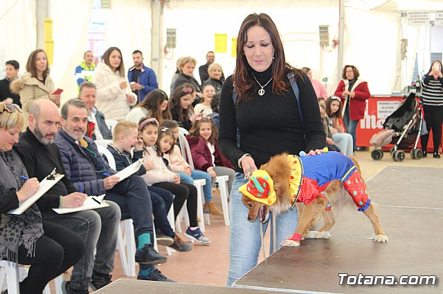 Concurso de disfraces de mascotas Carnaval de Totana - 21