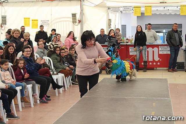 Concurso de disfraces de mascotas Carnaval de Totana - 22