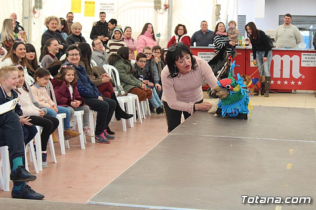 Concurso de disfraces de mascotas Carnaval de Totana - 23