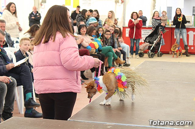 Concurso de disfraces de mascotas Carnaval de Totana - 25