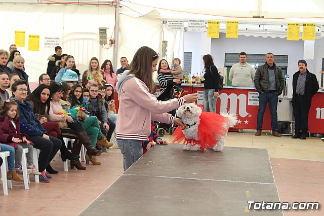 Concurso de disfraces de mascotas Carnaval de Totana - 26