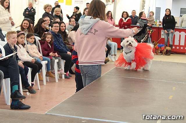 Concurso de disfraces de mascotas Carnaval de Totana - 27