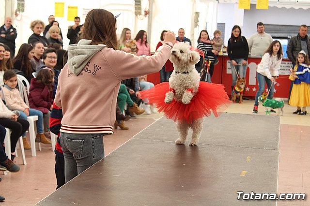 Concurso de disfraces de mascotas Carnaval de Totana - 28