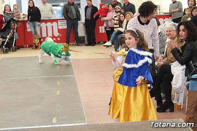 Concurso de disfraces de mascotas Carnaval de Totana - 29