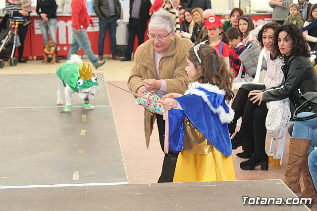Concurso de disfraces de mascotas Carnaval de Totana - 30