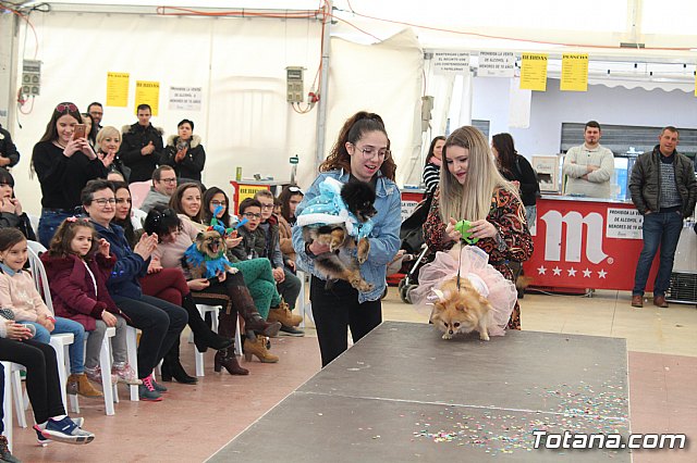 Concurso de disfraces de mascotas Carnaval de Totana - 32