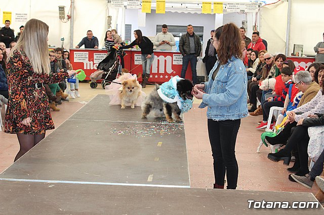 Concurso de disfraces de mascotas Carnaval de Totana - 33