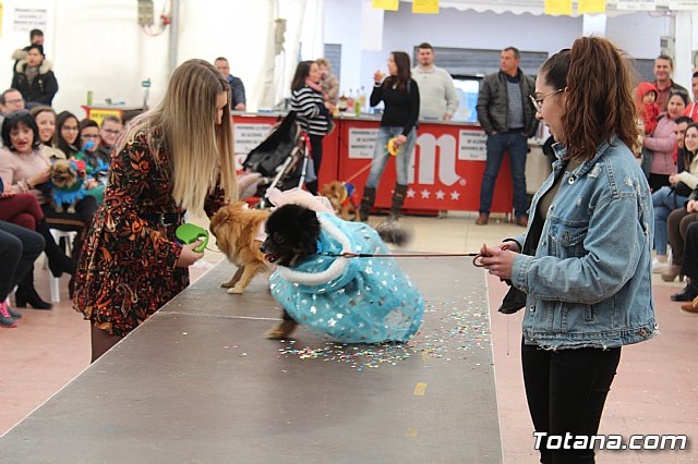 Concurso de disfraces de mascotas Carnaval de Totana - 34