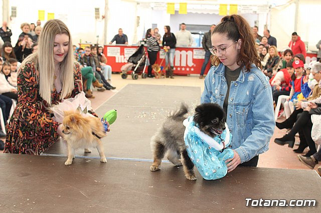 Concurso de disfraces de mascotas Carnaval de Totana - 35