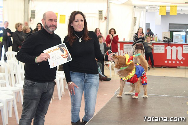 Concurso de disfraces de mascotas Carnaval de Totana - 39
