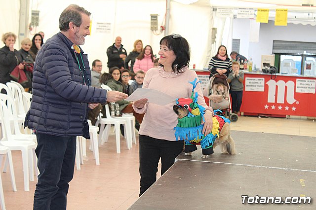 Concurso de disfraces de mascotas Carnaval de Totana - 40