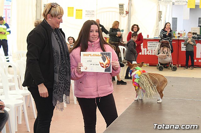 Concurso de disfraces de mascotas Carnaval de Totana - 41