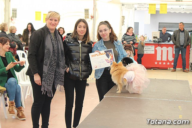 Concurso de disfraces de mascotas Carnaval de Totana - 44
