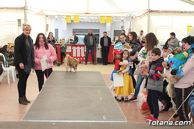 Concurso de disfraces de mascotas Carnaval de Totana - 46