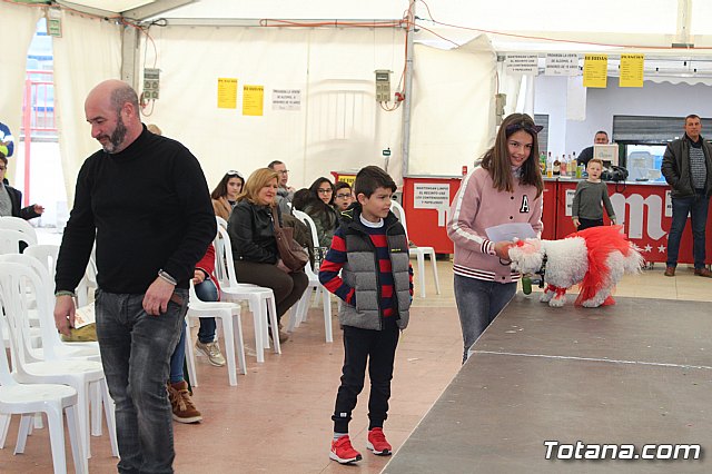 Concurso de disfraces de mascotas Carnaval de Totana - 47