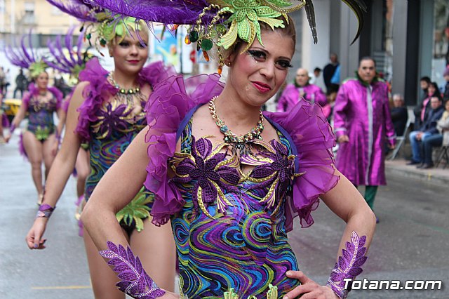 Desfile de Carnaval - Peas totaneras y forneas 2017 - 91
