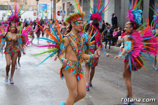 Desfile de Carnaval - Peas totaneras y forneas 2017 - 137