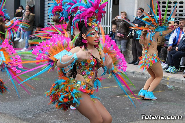 Desfile de Carnaval - Peas totaneras y forneas 2017 - 138