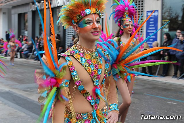 Desfile de Carnaval - Peas totaneras y forneas 2017 - 140