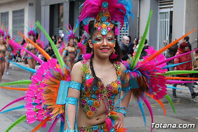 Desfile de Carnaval - Peas totaneras y forneas 2017 - 141